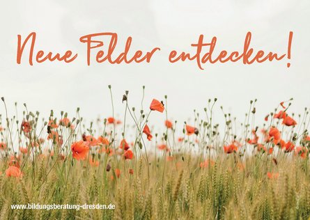 Postkarte Neue Felder Dresdner Bildungsberatung Mohnblumenfeld mit dem Schriftzug Neue Felder entdecken