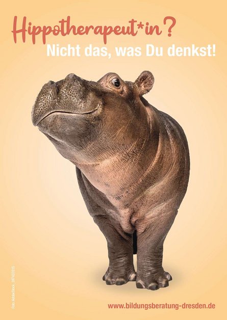 Postkarte Hippotherapeut Flusspferd darüber der Schriftzug Hippotherapeut Nicht das was Du denkst